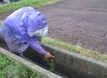 用水路・農道補修調査