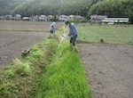 排水路除草(個人作業）