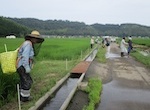 水田鳥獣害防止電気柵設置(第1回)<
