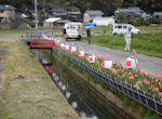 照明取付・花壇の草取り