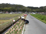 照明取付・花壇の草取り