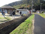 公民館用地の適正管理：チューリップの球根植え