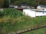 遊休空地の草刈り
