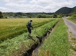排水路除草(個人作業）