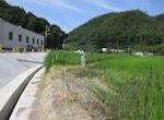 水田鳥獣害防止電気柵設置
