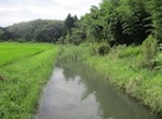 幹線排水路点検