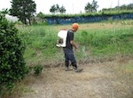 農道・ため池周辺の除草