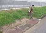 農用地法面の草刈り（個人作業）
