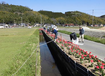 照明取付・花壇の草取り