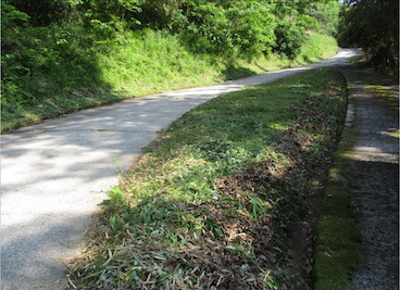 道路の適正管理：作業後点検