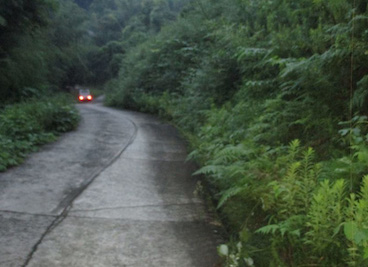 山道の適正管理：作業前点検