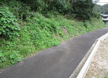 広場の清掃と道路の草刈り前の点検