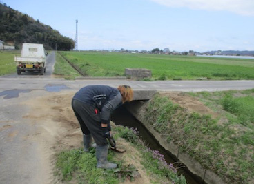 排水路除草(個人作業）