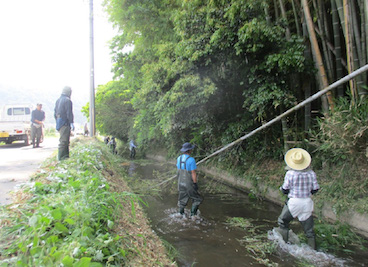 幹線排水路清掃・草刈含む