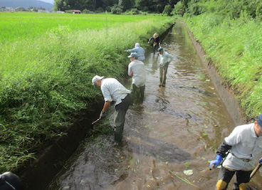 幹線排水路清掃・草刈含む