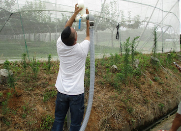 防除用水の給水配管等交換