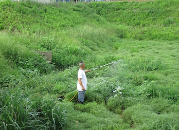 農道・ため池周辺の除草