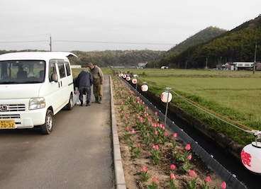 照明取付・花壇の草取り