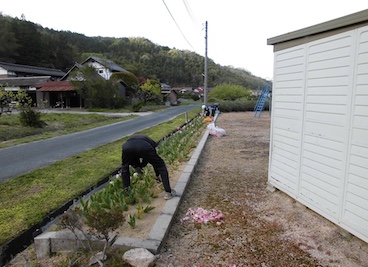 チューリップの花取り・照明撤去