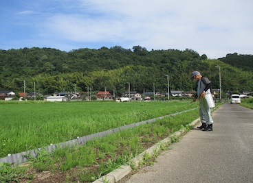 除草剤散布