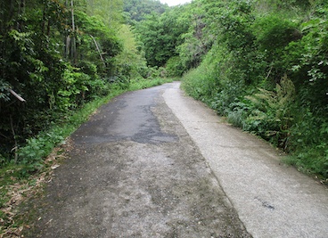 山道の適正管理：作業前点検