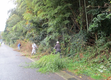 広場の清掃と道路の草刈り