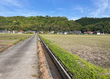 用水路・排水路作業後点検