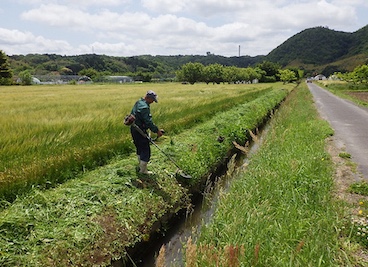 用・排水路除草(個人作業）