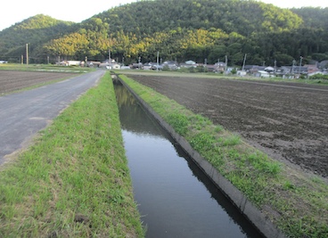 幹線排水路作業後点検