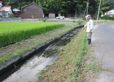 幹線排水路作業前点検