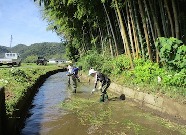 幹線排水路清掃(泥上げ草刈)
