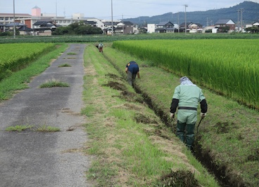 幹線排水路(泥上げ草刈)