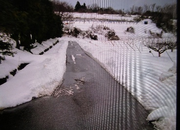 農道の除雪