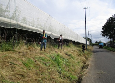 農用地水路の泥上げ・法面の草刈り（個人作業）