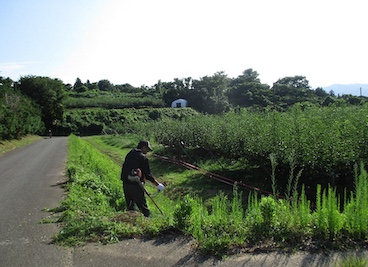 農道・ため池周辺の草刈り（共同作業）