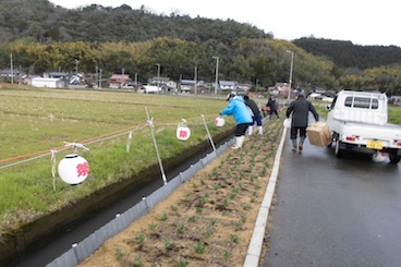 照明取付・花壇の草取り