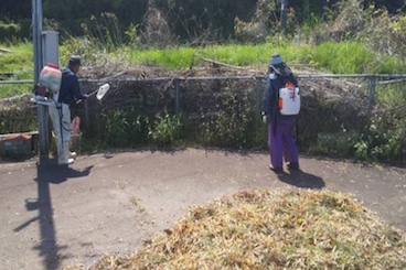 土地の適正管理：遊休空地除草剤散布