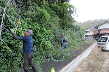 道路の適正管理：草刈り、伐採