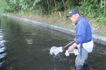 幹線排水路適正管理：不法投棄撤去