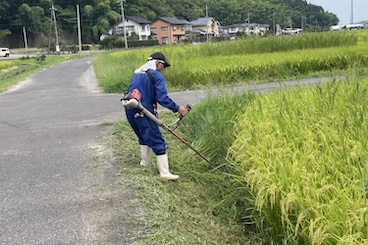 用・排水路・農道脇の草刈り(個人作業）