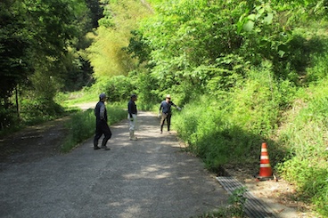 作業前の点検（幹線排水路）