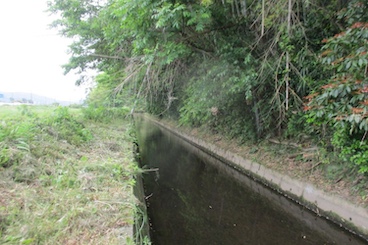 作業後の点検（幹線排水路）