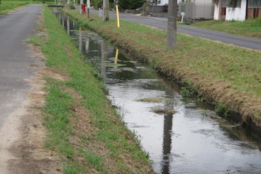 作業前の点検（幹線排水路）