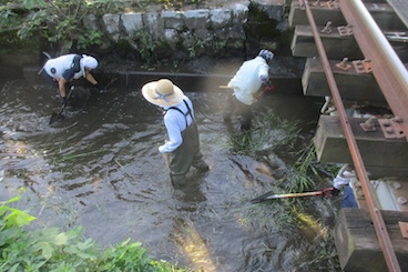 幹線排水路清掃(泥上げ草刈)