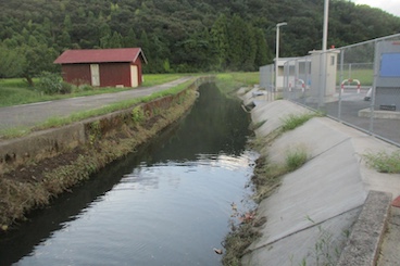 作業後の点検（幹線排水路）
