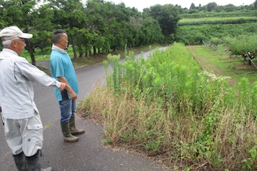 共同作業前の点検