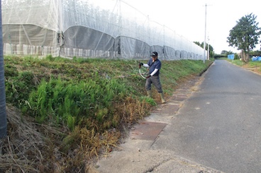 農用地法面の草刈り（個人作業）