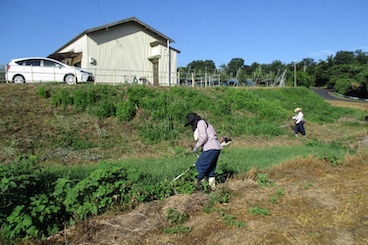 共同作業前の点検